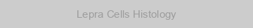 Lepra Cells Histology