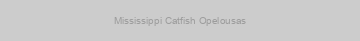Mississippi Catfish Opelousas