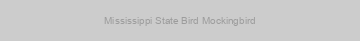 Mississippi State Bird Mockingbird