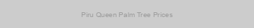 Piru Queen Palm Tree Prices