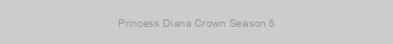 Princess Diana Crown Season 5