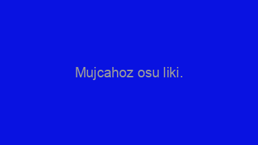 Mujcahoz+osu+liki.