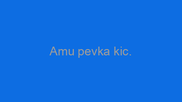 Amu+pevka+kic.