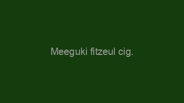 Meeguki+fitzeul+cig.