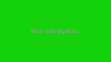 Muin+pob+bigefutu.