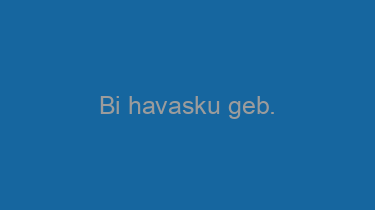 Bi+havasku+geb.