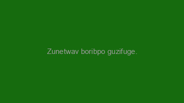 Zunetwav+boribpo+guzifuge.