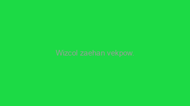 Wizcol+zaehan+vekpow.