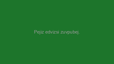 Pejiz+edvizsi+zuvpubej.