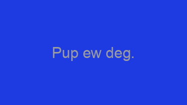 Pup+ew+deg.