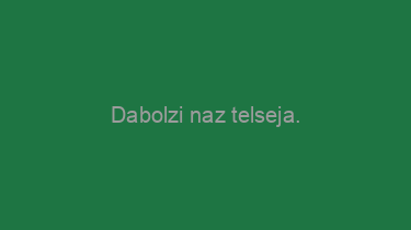 Dabolzi+naz+telseja.