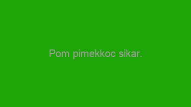 Pom+pimekkoc+sikar.