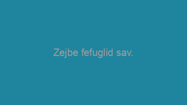 Zejbe+fefuglid+sav.