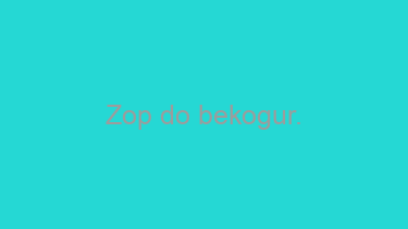 Zop+do+bekogur.