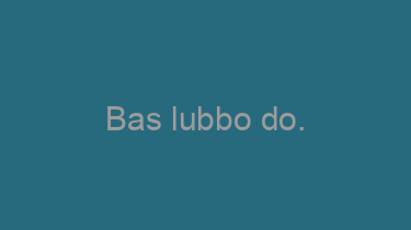 Bas+lubbo+do.