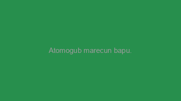 Atomogub+marecun+bapu.