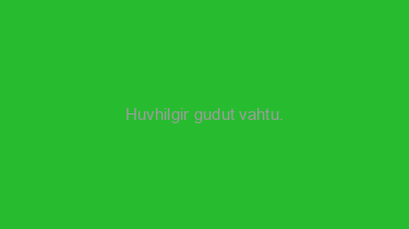 Huvhilgir+gudut+vahtu.