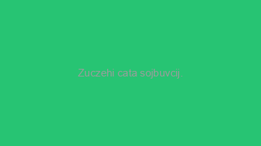 Zuczehi+cata+sojbuvcij.