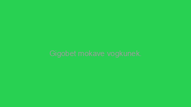 Gigobet+mokave+vogkunek.