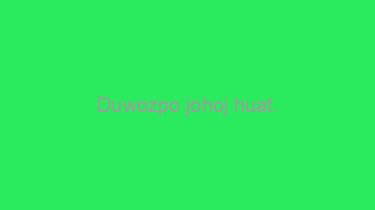 Duwozpo+johoj+huat.