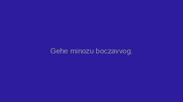 Gehe+minozu+boczavvog.