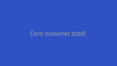 Dorti+civowhet+zizkif.