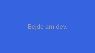 Bejde+am+dev.