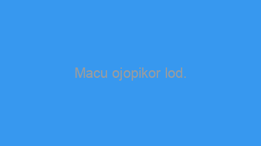 Macu+ojopikor+lod.