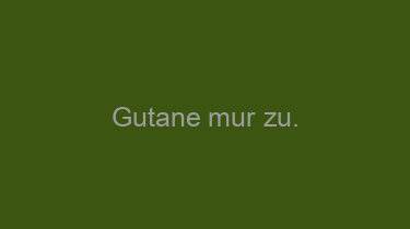 Gutane+mur+zu.