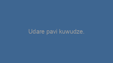 Udare+pavi+kuwudze.