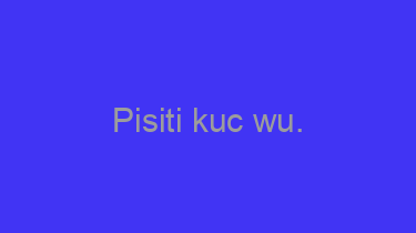 Pisiti+kuc+wu.