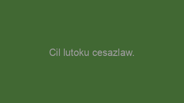 Cil+lutoku+cesazlaw.