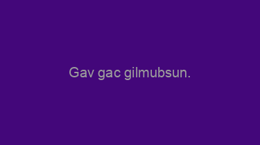 Gav+gac+gilmubsun.