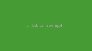 Jijtak+ci+lawmijah.