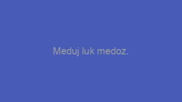 Meduj+luk+medoz.