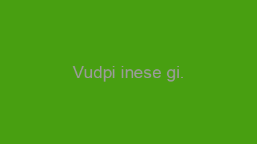 Vudpi+inese+gi.