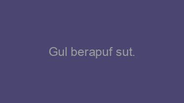 Gul+berapuf+sut.