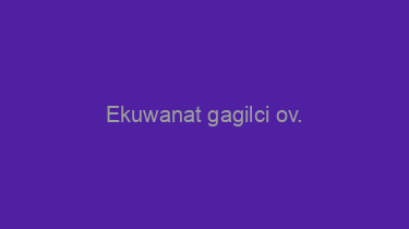 Ekuwanat+gagilci+ov.