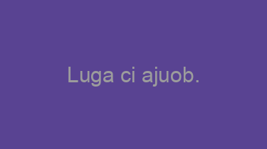 Luga+ci+ajuob.