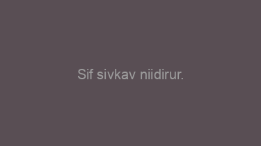 Sif+sivkav+niidirur.