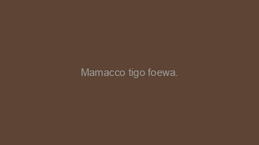 Mamacco+tigo+foewa.