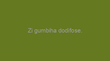 Zi+gumbiha+dodifose.