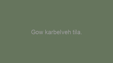 Gow+karbelveh+tila.