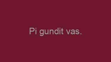 Pi+gundit+vas.