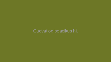 Gudvatlog+beacikus+hi.