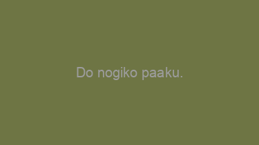 Do+nogiko+paaku.