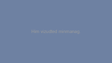 Him+vizudted+minmanag.