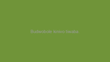 Budwobole+kinivo+tiwaba.