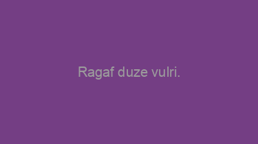 Ragaf+duze+vulri.