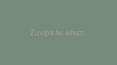 Zuvipa+tic+ehuzi.